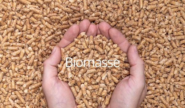 Biomasse